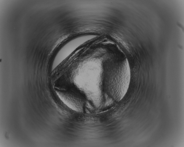 X0000091210400200709061443