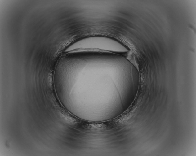 X0000091210401200709061443