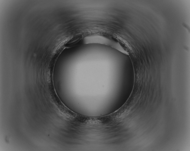 X0000091210403200709061443