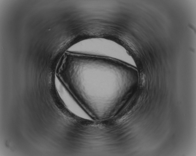 X0000091210404200709061443