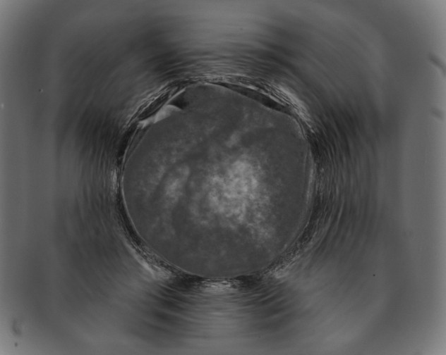 X0000091210405200709061443