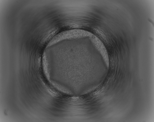 X0000091210406200709061443