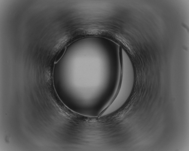 X0000091210407200709061443