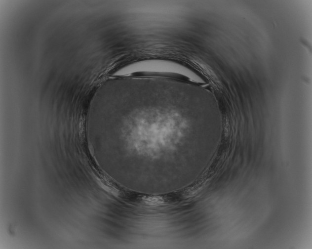 X0000091210409200709061443