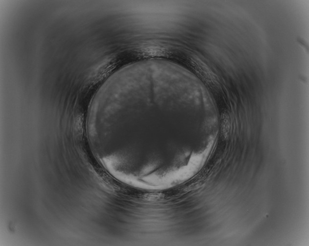 X0000091210410200709061443