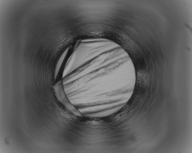 X0000091210412200709061443