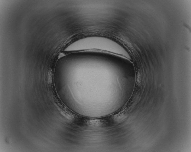 X0000091210413200709061443