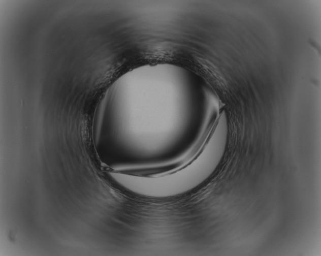 X0000091210416200709061443