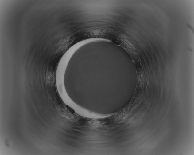 X0000091210419200709061443