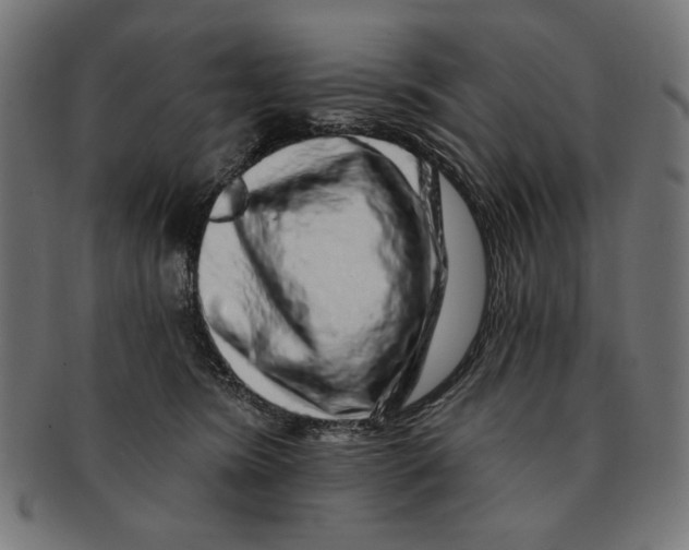 X0000091210420200709061443