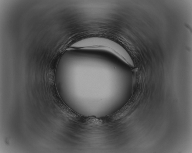 X0000091210421200709061443