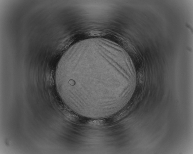 X0000091210422200709061443