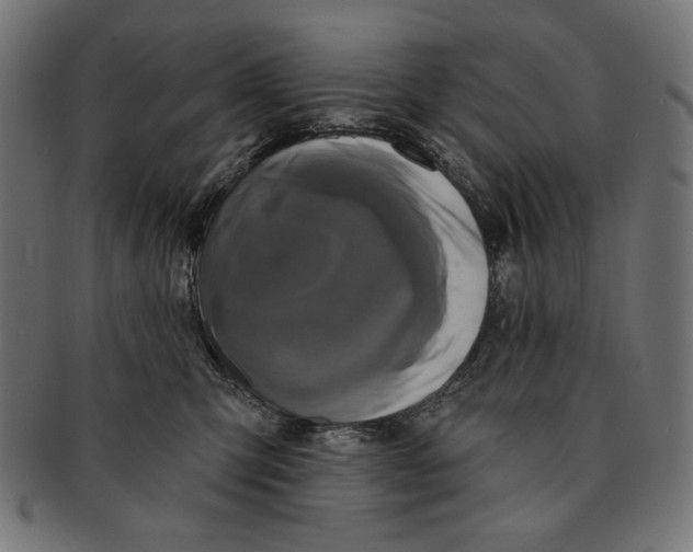 X0000091210423200709061443