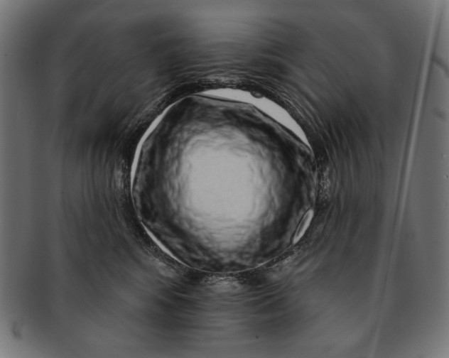 X0000091210424200709061443