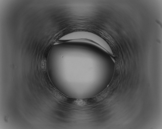 X0000091210425200709061443