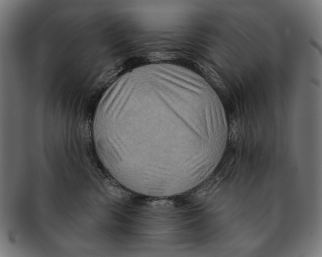 X0000091210426200709061443