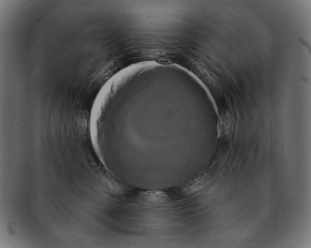 X0000091210427200709061443