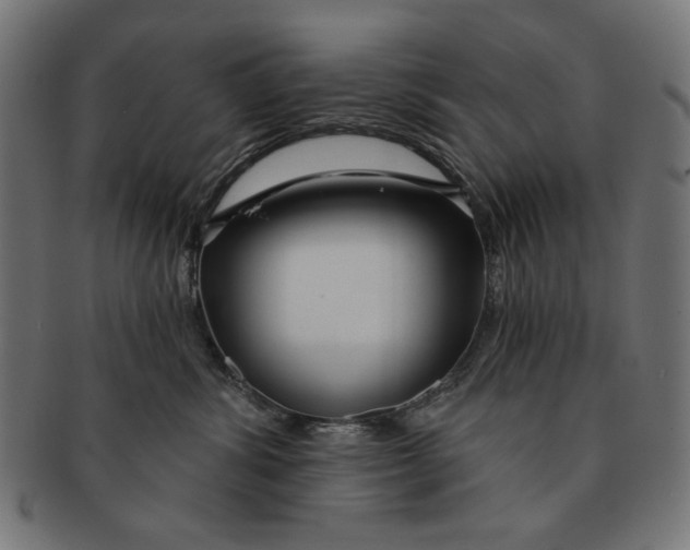 X0000091210428200709061443