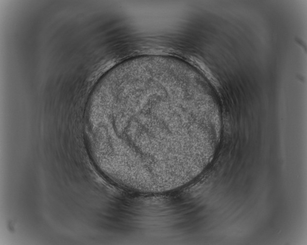 X0000091210433200709061443