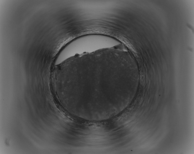 X0000091210434200709061443