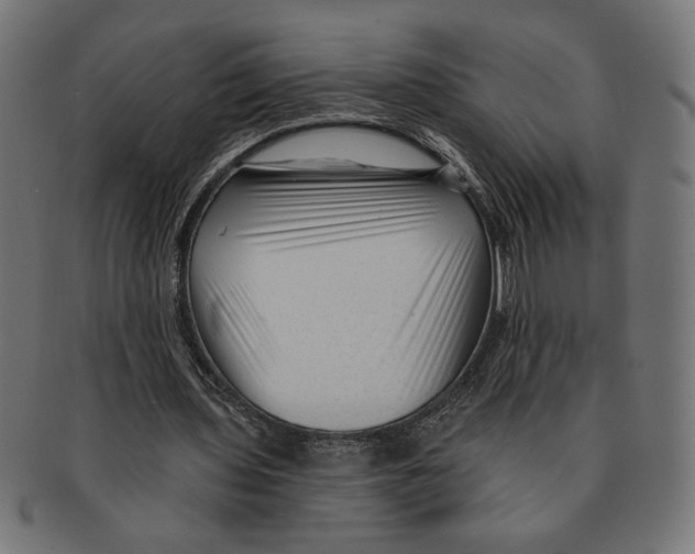 X0000091210435200709061443