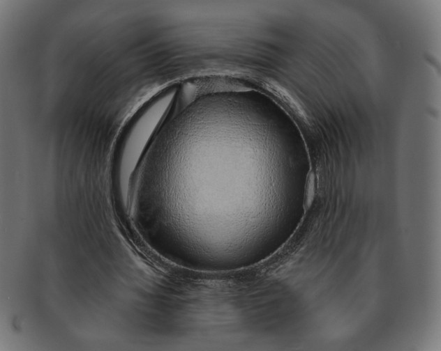 X0000091210436200709061443