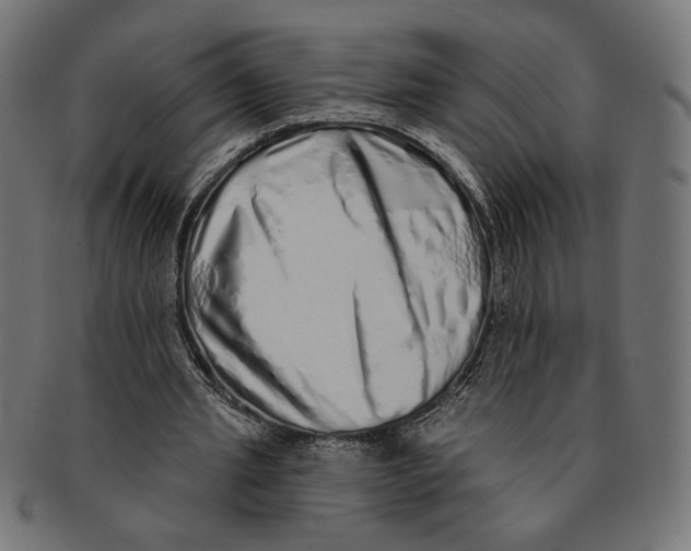 X0000091210437200709061443