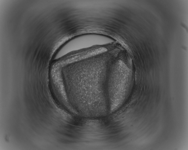 X0000091210438200709061443