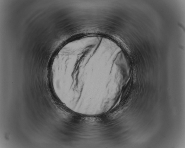 X0000091210439200709061443