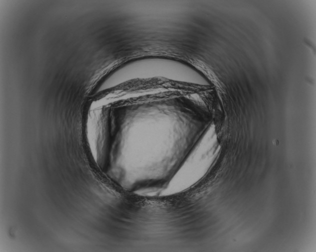 X0000091210442200709061443