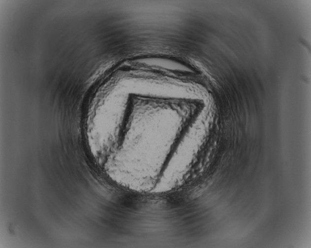 X0000091210443200709061443