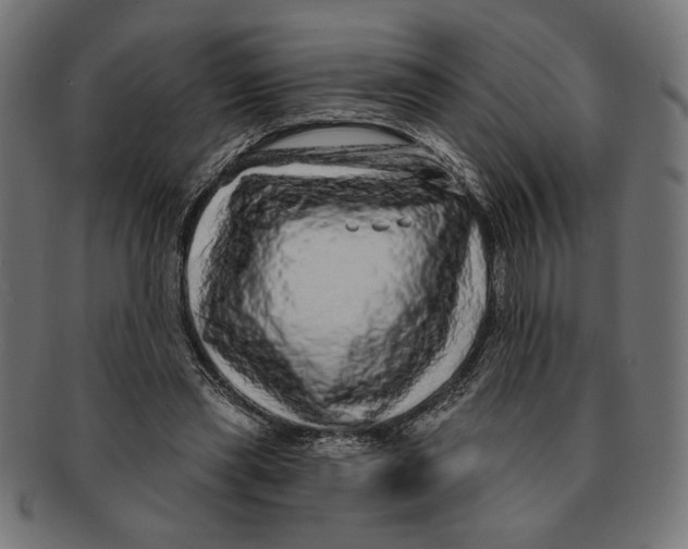 X0000091210445200709061443