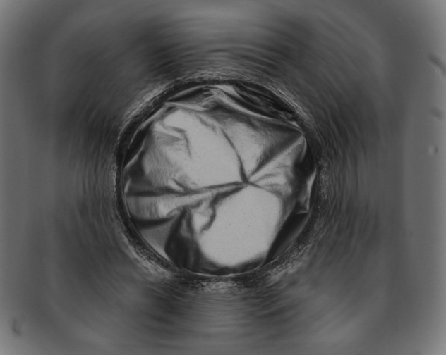 X0000091210446200709061443