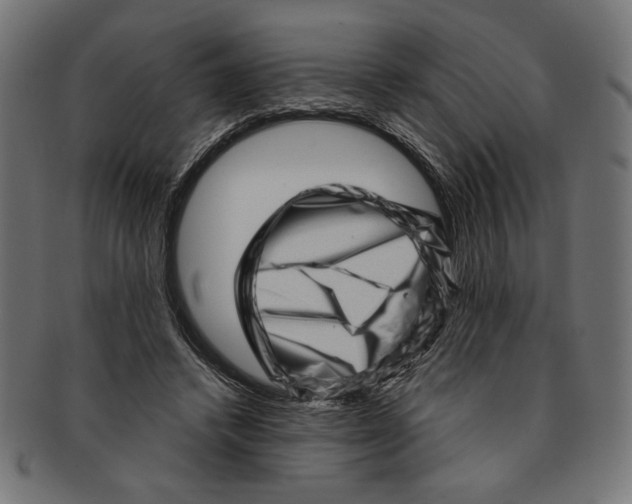 X0000091210448200709061443