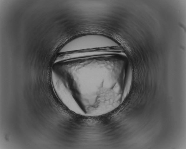 X0000091210449200709061443