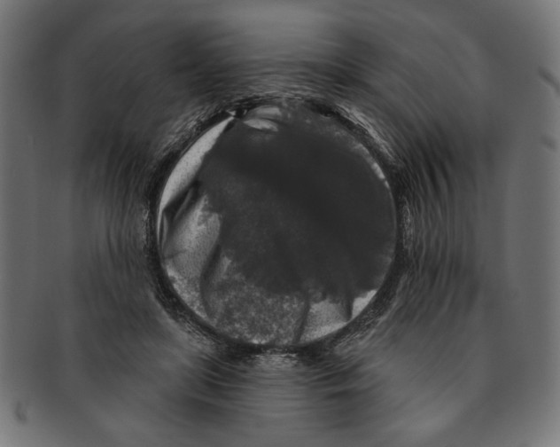 X0000091210451200709061443