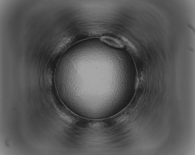 X0000091210452200709061443