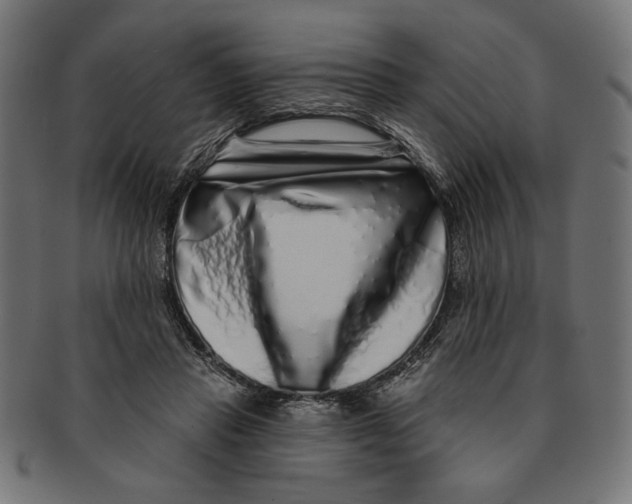 X0000091210453200709061443