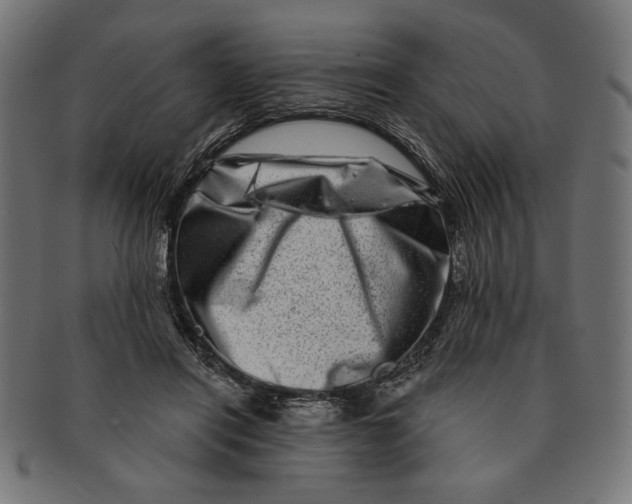 X0000091210454200709061443