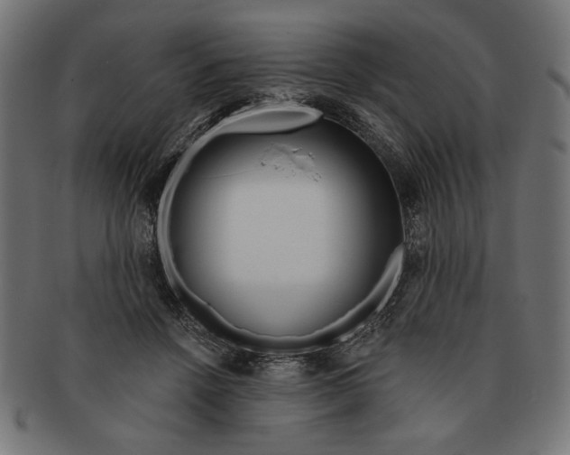 X0000091210456200709061443