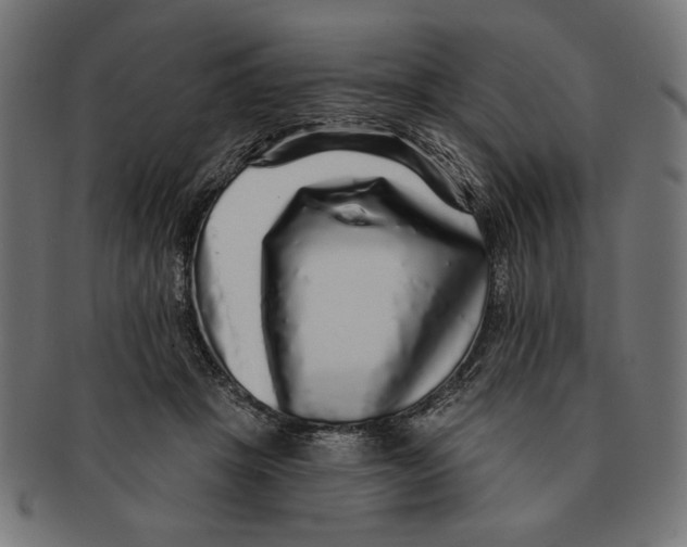 X0000091210457200709061443