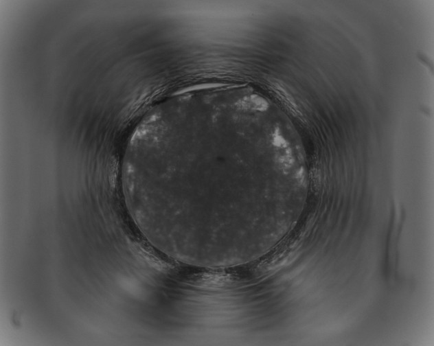 X0000091210458200709061443