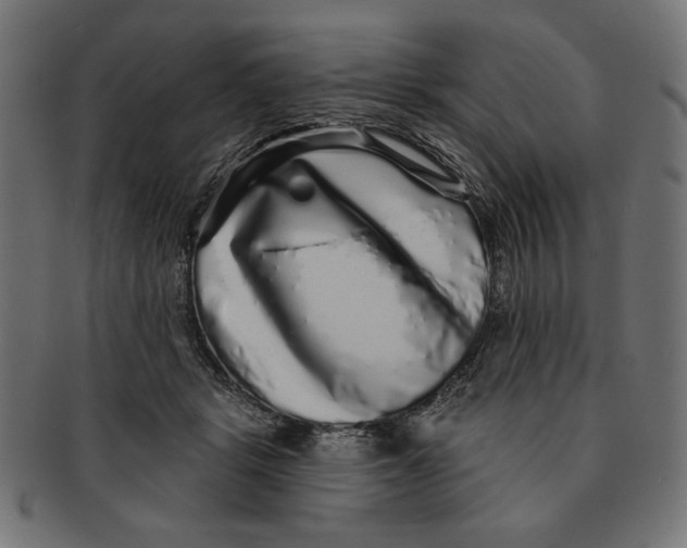 X0000091210461200709061443