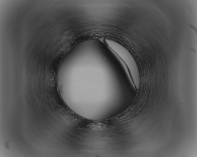 X0000091210464200709061443