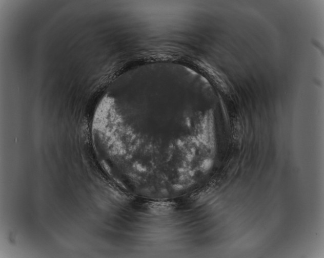 X0000091210465200709061443