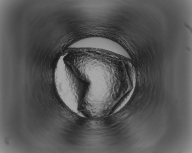 X0000091210466200709061443