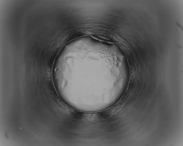 X0000091210469200709061443