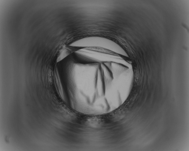 X0000091210470200709061443