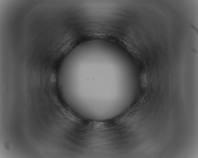 X0000091210472200709061443