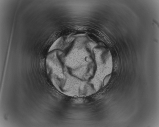 X0000091210473200709061443